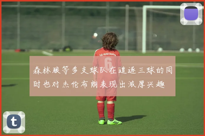 森林狼等多支球队在追逐三球的同时也对杰伦布朗表现出浓厚兴趣