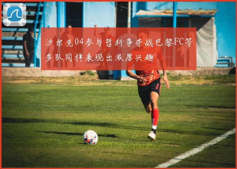 沙尔克04参与哲科争夺战巴黎FC等多队同样表现出浓厚兴趣